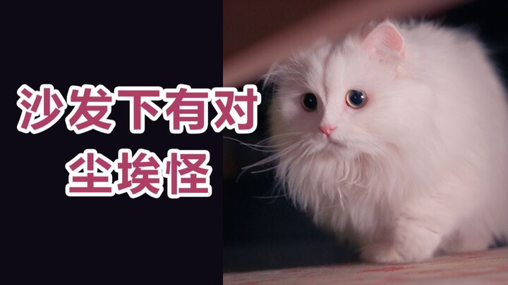 "I Love You, Just Like They Do"