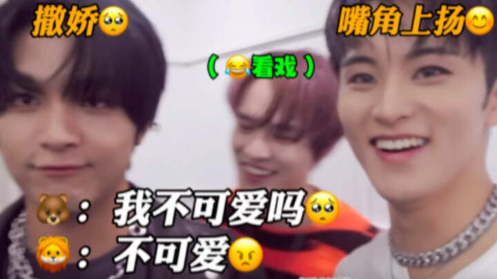 Chenle mengadu: Kak Mark bilang kamu tidak imut! Li Kaican: Benarkah TT | markchan/Li Mark x Li Kaic