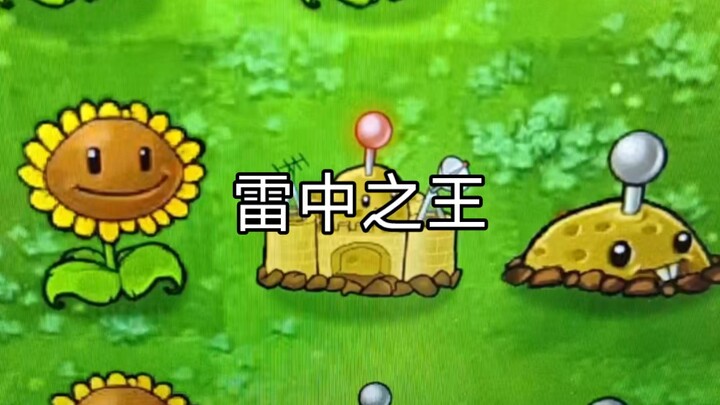 Every plant plays its part.