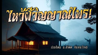 ไหว้ผี..วิญญาณไพร! (ตอนเดียวจบ)