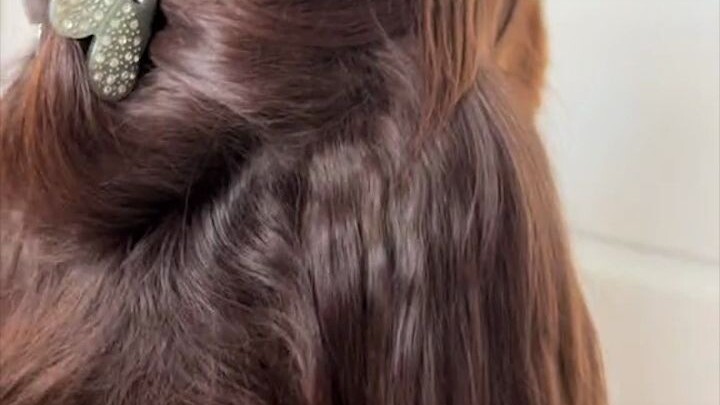 This dog’s hair is seriously amazing—so thick and silky smooth! I’m jealous—what does a dog even nee