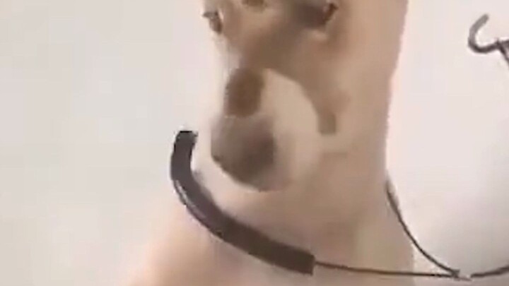 เธอไม่เข้าใจแฟชั่นเลยสักนิด~ฮือ