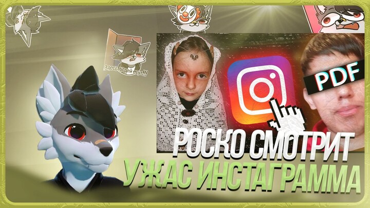 🐺 Роско смотрит заратустра - Странные и Трешовые Аккаунты в Инстаграм