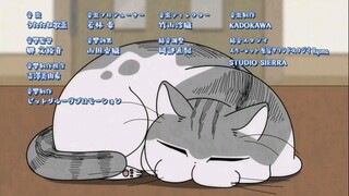 Ep. 20 Yoru wa Neko to Issho (2022) (Sub Indo) | Nights with a Cat|Zutto Neko Shoshinsha|Summer 2022