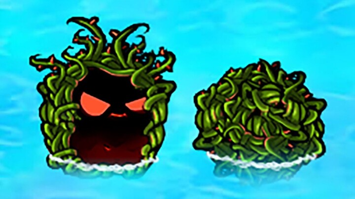 New Plant: Twine Nut
