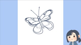 Gambar Kupu-kupu