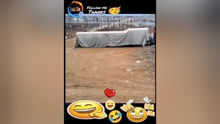 my loyal friend ❤ xuhuong ýnghĩacuộcsống foryou comedy chó_cưng