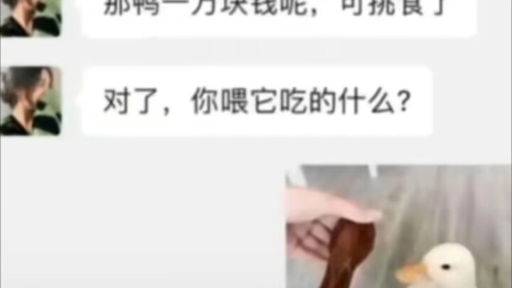 鸭：你最好有事