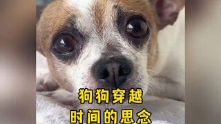 عندما يرى الكلب صاحبه الذي لم يره منذ وقت طويل، يعرف أن عالمه كله قد عاد.
