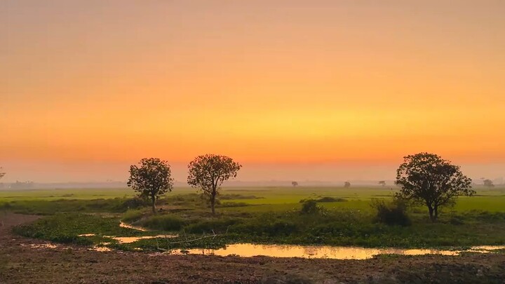 আহা ❣️