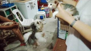 haha nanggigil si hunter Kay poorgold