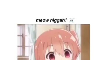 Meow nig