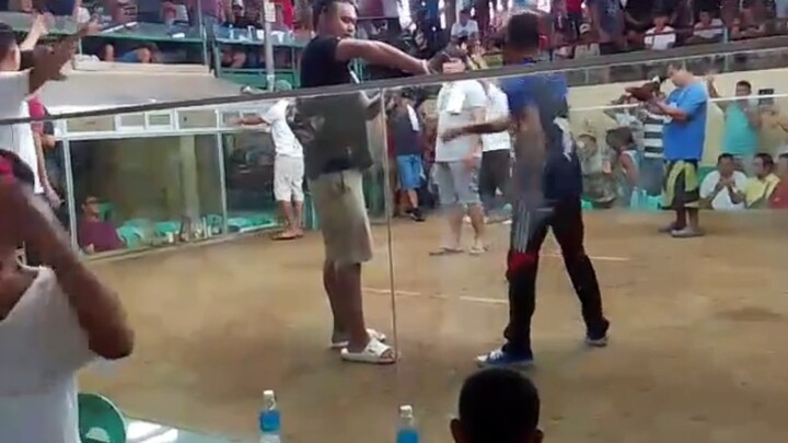 Binabayi kuntra pula🐔🐓🍗