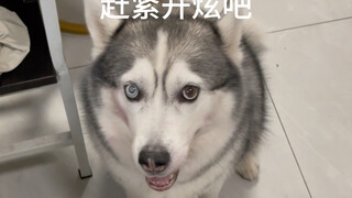 น้ำซุปหม้อไฟนี้ทำให้เจ้าตูบดูแล้วน้ำลายไหลเลย