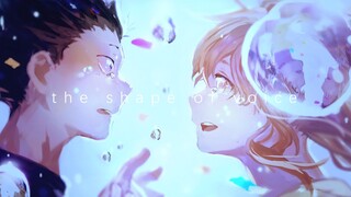 Tears and happy smiles [AMV]