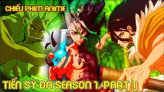 Hồi Sinh Thế Giới của Tiến Sĩ Đá Season 1/Part 1 | Review Anime | Tóm Tắt Anime