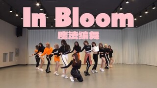 卖花团｜In BLOOM*IZ｜7月的盛典你悄然绽放｜矮×昼魔法编舞