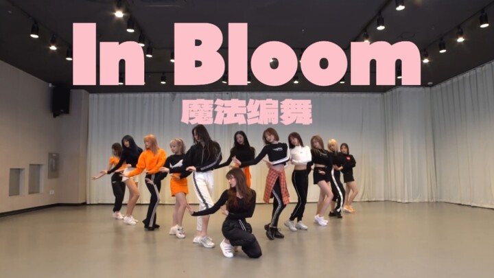 卖花团｜In BLOOM*IZ｜7月的盛典你悄然绽放｜矮×昼魔法编舞