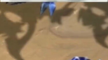 ระดับมอนสเตอร์: สูงสุด สำหรับ Hex นี้เท่านั้น เล่นไลน์นี้!