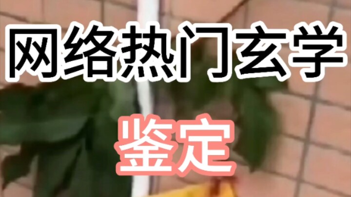 【Jingshui】Kiểm định huyền học nổi tiếng trên mạng (Cục 749, nhà ma, thước Lỗ Ban)