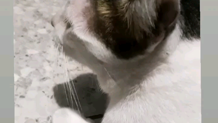 พี่แต้ม ep.5