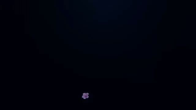 Alan walker animation🔥