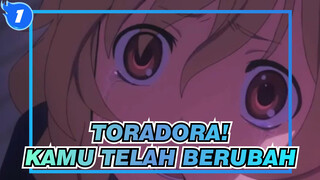 [Toradora!] Kamu Telah Berubah Dalam Terang_1