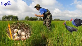 Tìm thấy TỔ TRÍCH CỒ và TỔ CÚM NÚM - 7 Ân