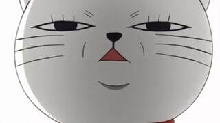 Aku menyanyikan taidada dengan tangan sibuk dan mulut penuh kebingungan.