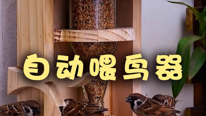 Pembuat Sendiri Alat Pemberi Makan Burung Otomatis