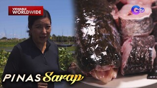 Kara David, nanghuli ng dalag sa Laguna de Bay | Pinas Sarap