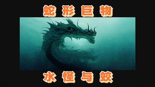 Sinh vật khổng lồ uốn lượn bí ẩn: Giao!