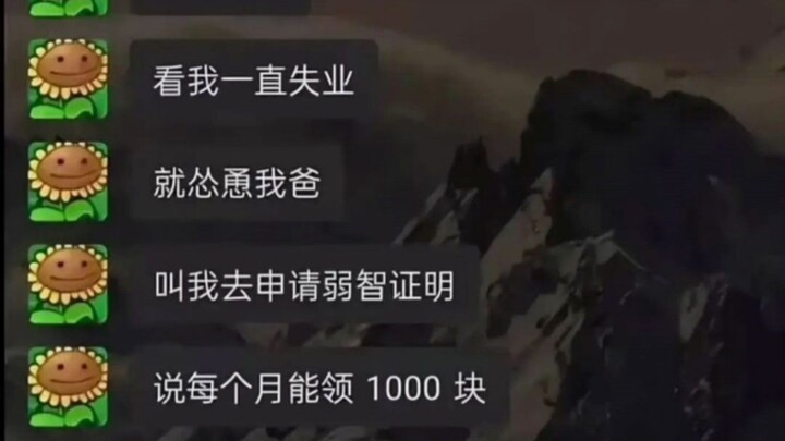 在哪办啊哥