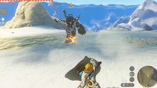[The Legend of Zelda: Kingdom of Tears] Centaur: I stubbed my little toe