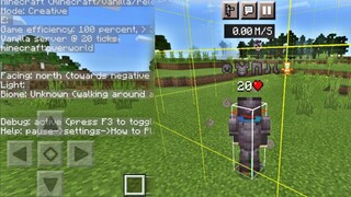 5 New Java  Edition in MCPE - Minecraft Pocket Edition