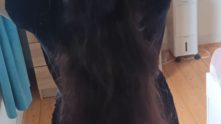 long hair style