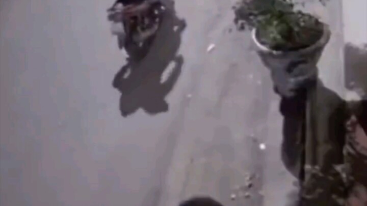 Ngay cả cái này cũng ăn trộm à