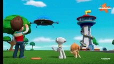 paw patrol musim 8 Episode 3 dan Episode 4 Bahasa indonesia vision+