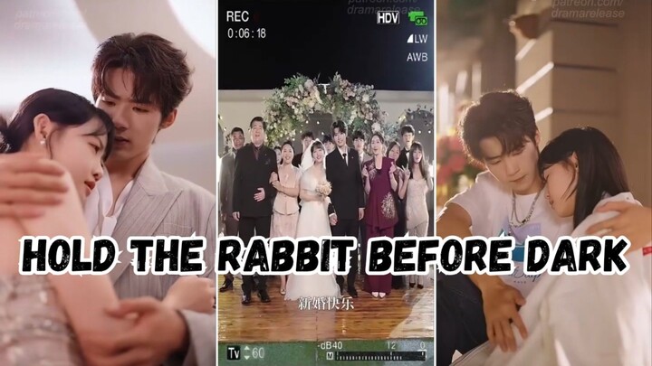 Hold The Rabbit Before Dark