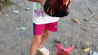 3 way cross lang (BLG)