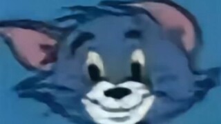 Silver Tabby: Am I some ugly cat?