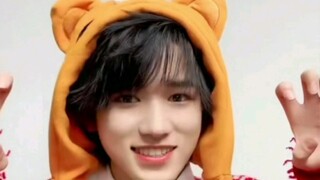 أود حقًا أن أسأل ليو ون: الأسد، القطة، النمر، أيهم تختار؟