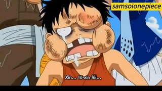 muôn kiểu hài hước của luffy =))))