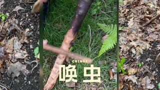 奇特的召唤蠕虫之术‼️