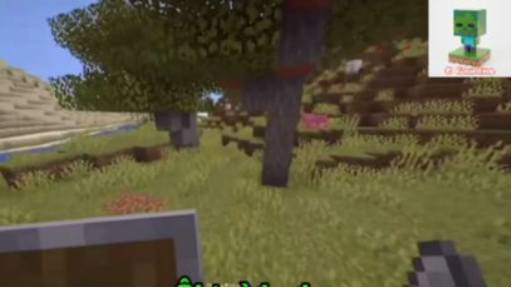 Highlight Minecraft 29.12