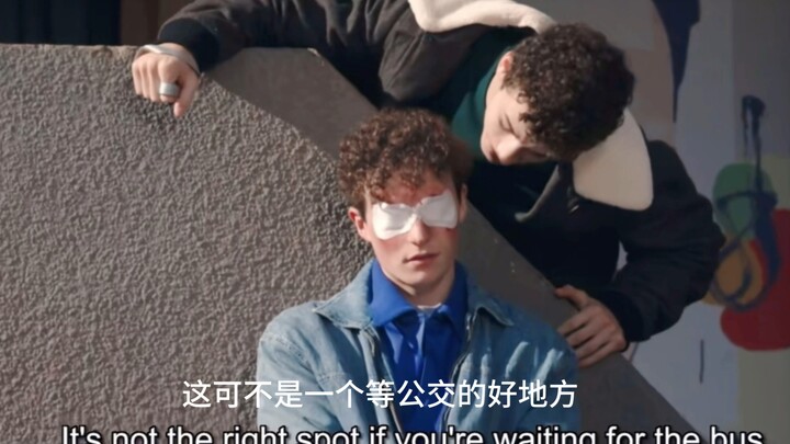 Thằng chó chết nhóc và cô mèo mù nhỏ dịu dàng của nó! Đúng là nước Pháp lãng mạn, quay phim đỉnh thậ