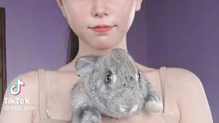 Rabbit mo din ba nasayaw din?