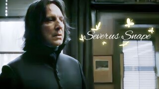 [HP Giáo sư Snape ‖ Hướng đạo năng lượng cao ‖ Định hướng cá nhân] Vui lòng ký nhận/Người mẫu nam ch