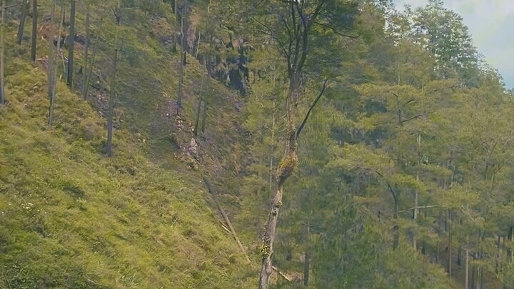 Air terjun tansaranbidin Aceh