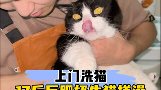 Cat cleaning service in Chengdu: This 17-pound dairy cat hasn't had a bath in 3 years!
